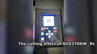 The introduction of SVD370DW_RL