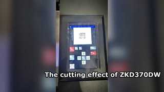 The introduction of ZKSVD370DS