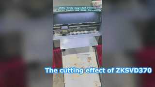 The introduction of ZKSVD370